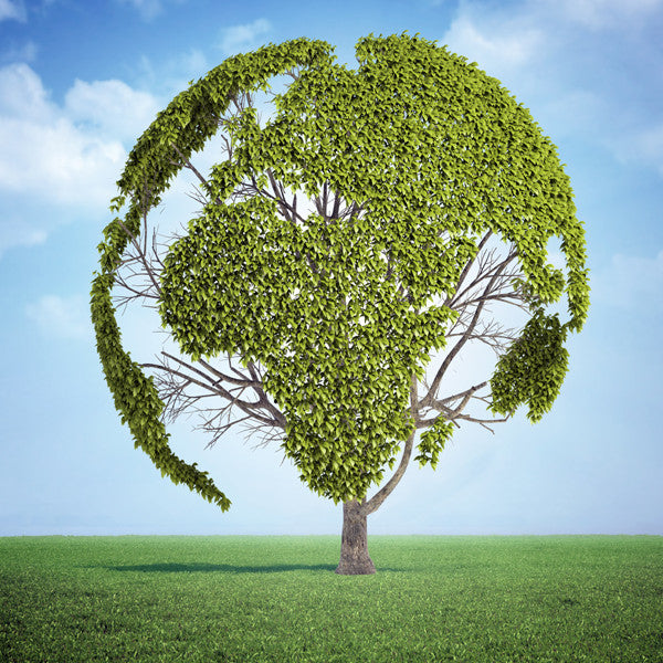 Environmentally Friendly
