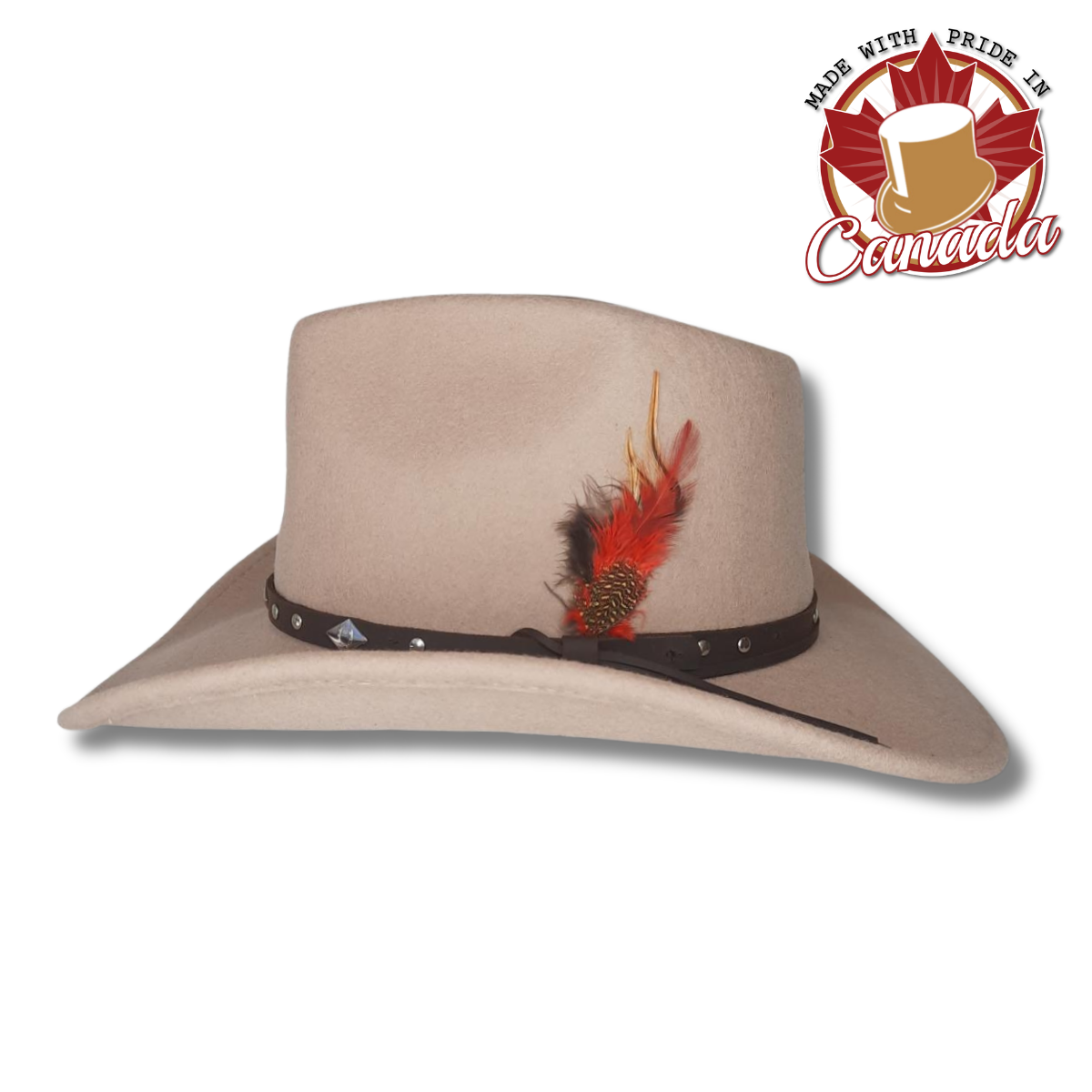 Western with Horseshoe Studded Band