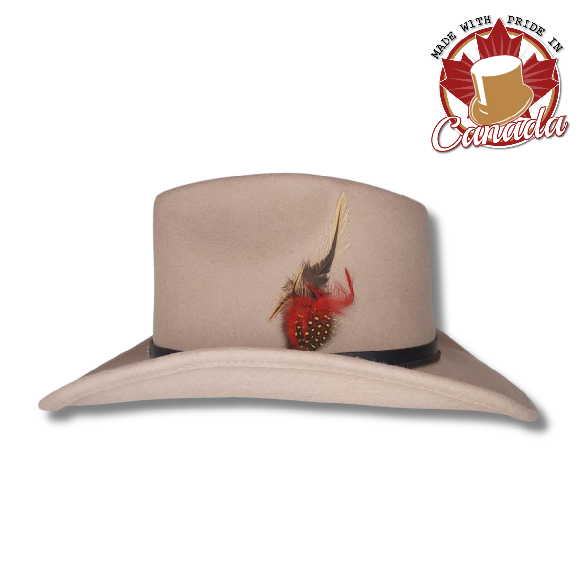 Western with Studded Leather Band