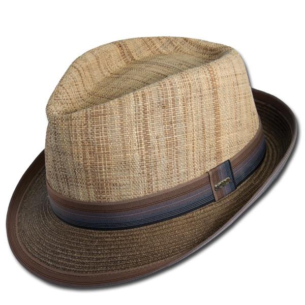 Ombre Stripe Fedora